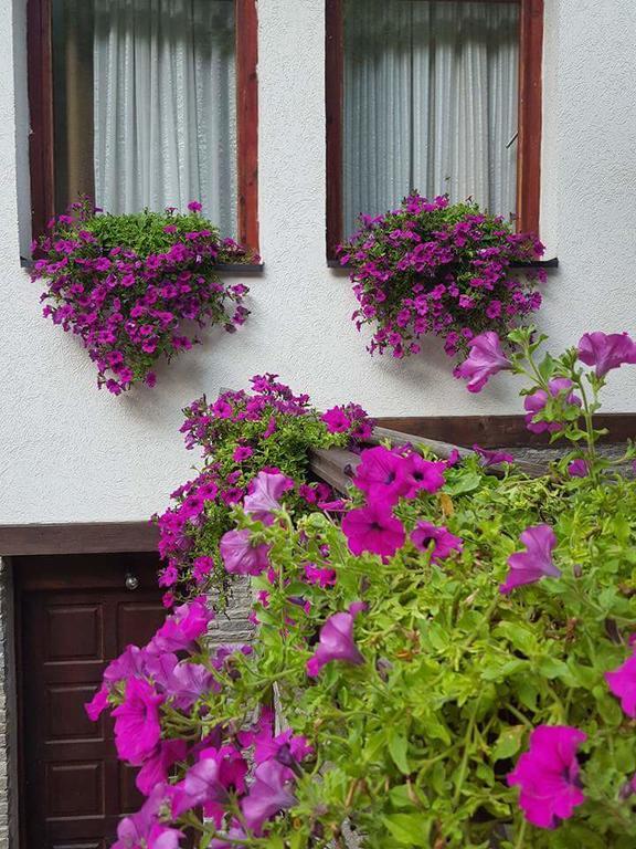 Villa Ana Marija Duracka Reka Esterno foto
